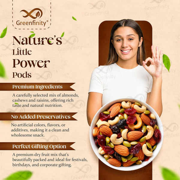 GreenFinity Premium Mixed Dry Fruits & Nuts (500g)