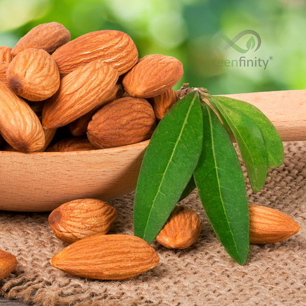 GreenFinity Mixed Dry Fruit (Almonds, Cashew Nuts, Green Raisin - 250g (Pack of 3))