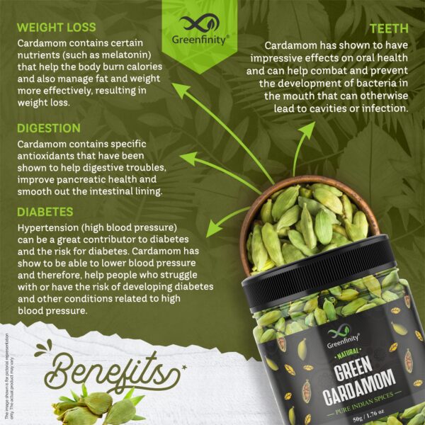 Cardamom - Image 4