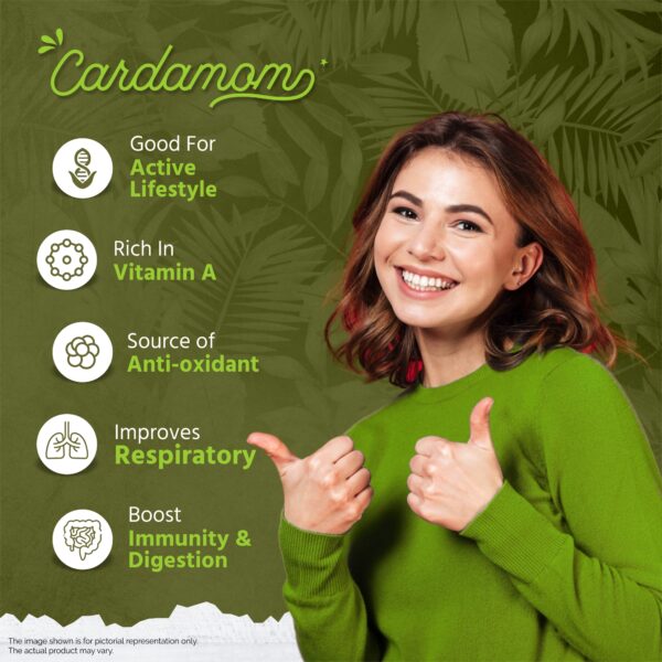 Cardamom - Image 6